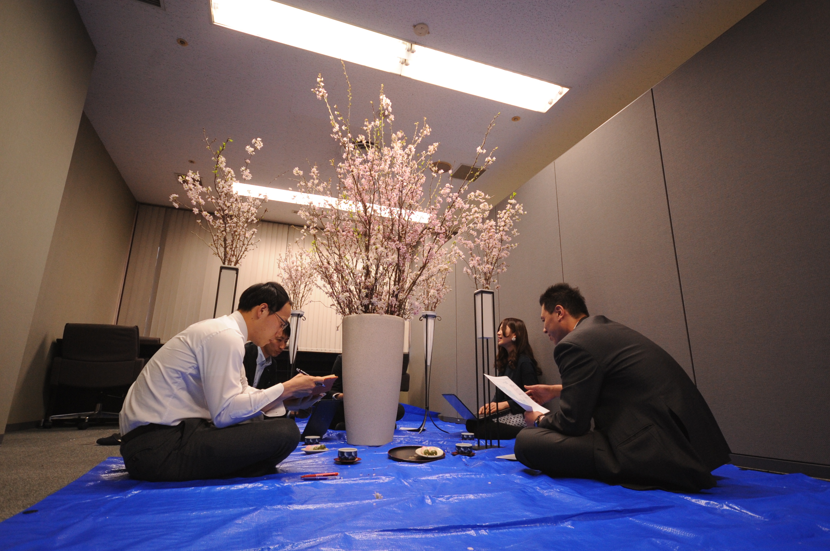 会議室でも インドア花見 天気を気にせず24時間お花見宴会 大阪 なんばの貸会議室で4 6から本物の桜を咲かせた 室内花見 昨年までの 花見 会議室 が好評だったため バージョンアップいたしました Prでっせ